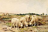 Sheep Canvas Paintings - Grazing Sheep